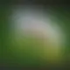 Zagraj Let It Ride z Playtech w {"id":77,"name":"Mr Pacho","design":{"logo":"mr-pacho-logo-H6Pgja.svg","favicon":"mr-pacho-favicon-4Uk5Av.png","banner_poker":"mr-pacho-poker-oZh6y7.webp","banner_mobile":"mr-pacho-mobile-BF5lJy.webp","block_bg_color":"#1E3A8A","image_bg_color":"#1E1B4B","banner_bg_color":"#1e3a8a","block_text_color":"#ffffff","primary_bg_color":"#1e1b4b","banner_text_color":"#fff","footer_logos_type":"white","block_round_radius":"0","primary_text_color":"#ffffff","button_round_radius":"0","banner_welcome_bonus":"mr-pacho-welcome-bonus-9h9YAS.webp","primary_button_bg_color":"#4ade80","primary_button_text_color":"#1E1B4B","secondary_button_bg_color":"#facc15","secondary_button_text_color":"#1E1B4B"},"created_at":"2025-05-14T09:25:23.000000Z","updated_at":"2025-05-14T09:25:23.000000Z","deleted_at":null}